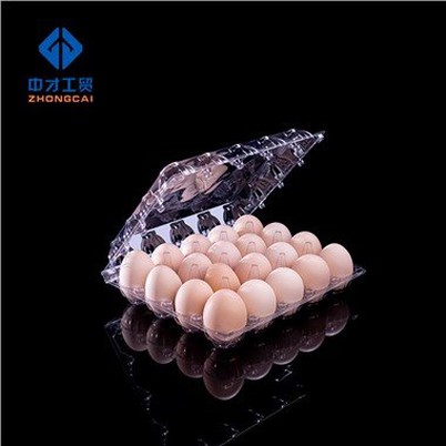 20 Blister Egg Tray