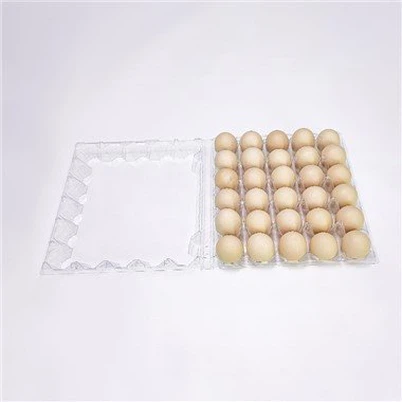 30 Egg Tray Disposable