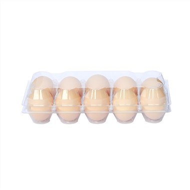 Egg Tray Supermarket
