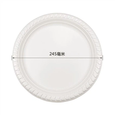 Disposable 10 Inches Dinner Plate