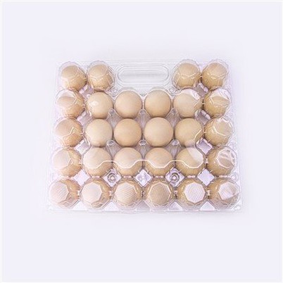 Egg Tray Plastic Disposable