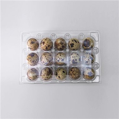 Plastic Quail Egg Tray