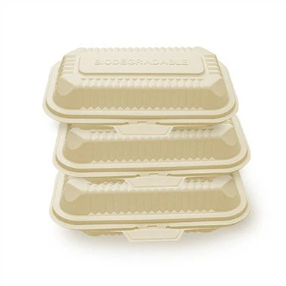 Take Away Box Biodegradable