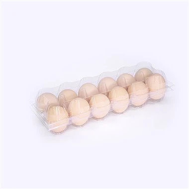 Transparent Plastic 2*6 12 Holes Egg Tray