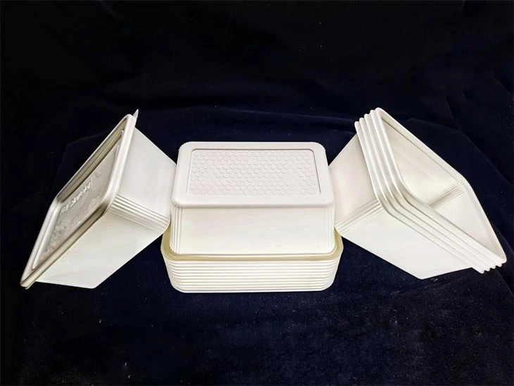 Biodegradable Disposable Take Out Lunch Box