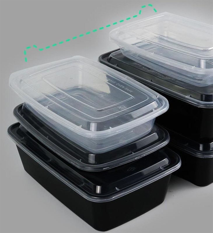 PP Disposable Take Away Bento Lunch Box